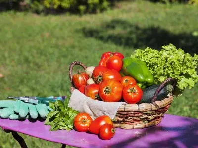 Comment conserver vos légumes frais plus longtemps