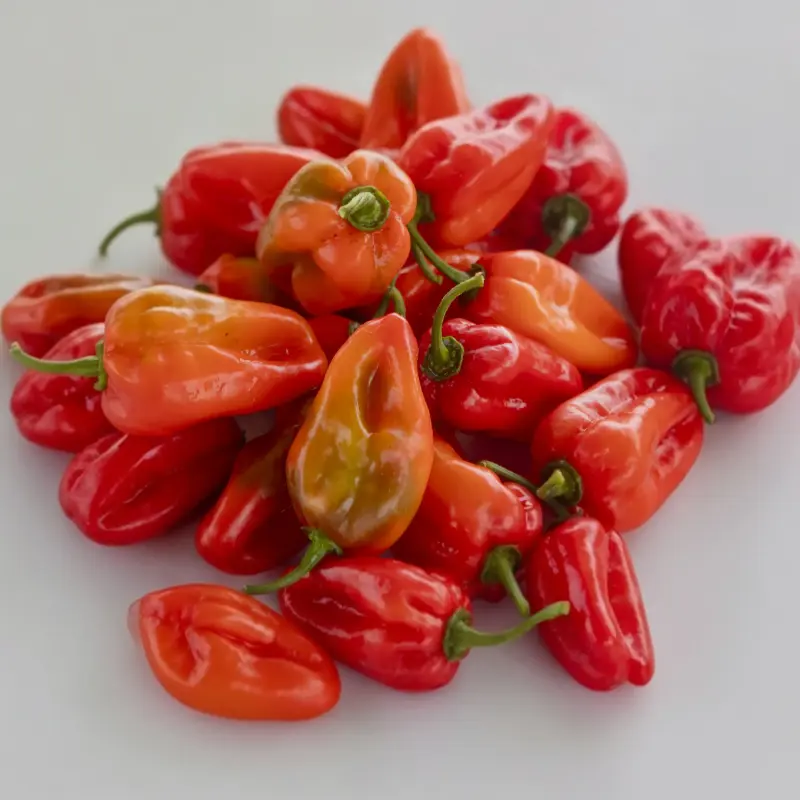 Piment rouge frais